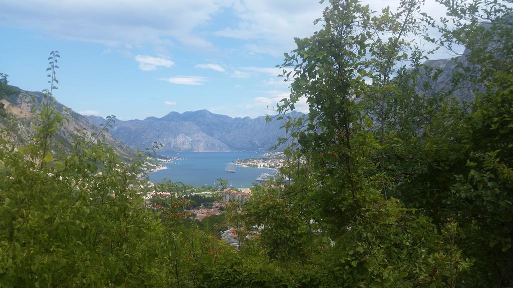 Apartments Panoramic Paradise 科托尔 外观 照片